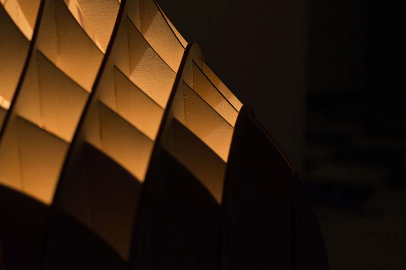 Sweet Curves Light - an amorphic-shaped table/floor lamp