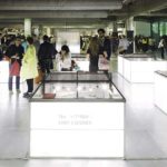 “The wonder 500”