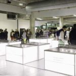 “The wonder 500”