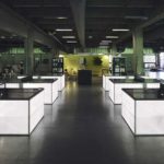 “The wonder 500”