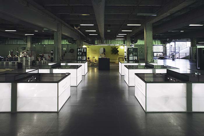 “The wonder 500”