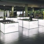 “The wonder 500”