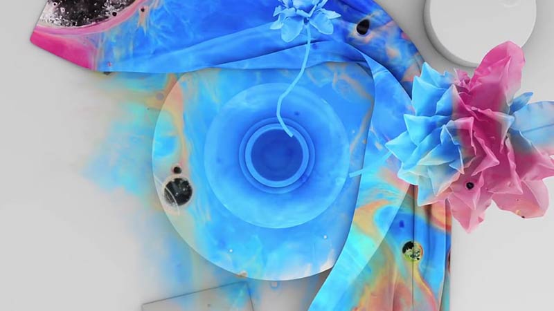 Tourist: To Have You Back