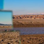 Babel Tower Installation