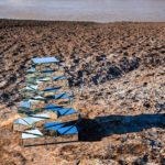 Babel Tower Installation