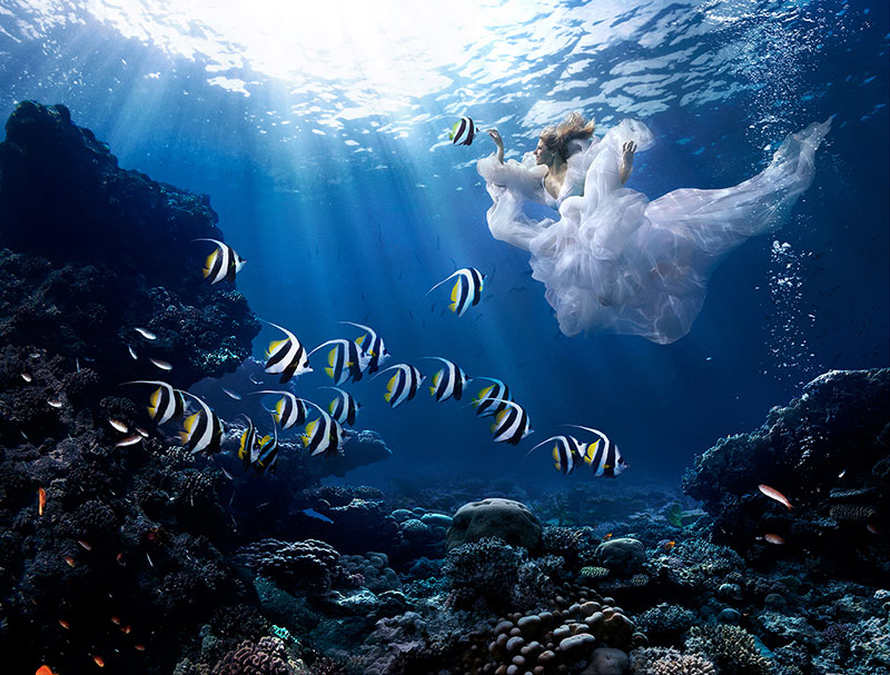 Erik Almås — a dream assignment !