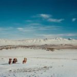 Frédéric Lagrange and the Kazakh Eagle Hunters