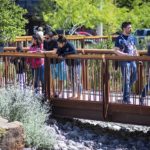 SWA incorporates Beauty, Ecology and Programming to Remake El Paso's 100-year-old Historic Park