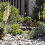 SWA incorporates Beauty, Ecology and Programming to Remake El Paso's 100-year-old Historic Park