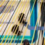 Fun Finder an interactive installation by 100architects