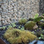 Opening of the 17th International Garden Festival in Grand-Métis, Canada