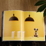 Masquespacio redesigns the brand and collection of RACO