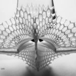 Lace LED by Margot Krasojević Architects