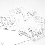 Lace LED by Margot Krasojević Architects