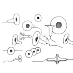 Newblack presents Luciano, the ceramic bluetooth speaker designed by Paolo Cappello