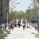MVRDV completes Seoullo 7017, a 983-metre botanical floating walkway, a transformed former city highway