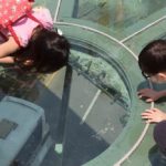 MVRDV completes Seoullo 7017, a 983-metre botanical floating walkway, a transformed former city highway