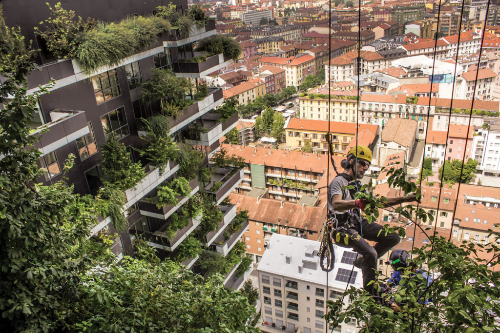 Forest, Tower, City: Rethinking the Green Machine Aesthetic