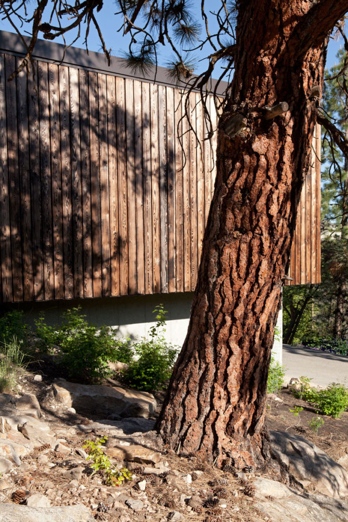 Friesen Wong House, Canada by D'Arcy Jones Architects