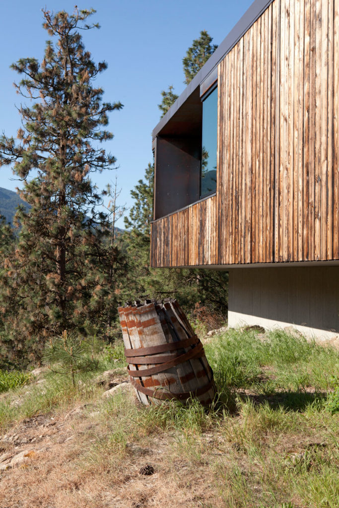 Friesen Wong House, Canada by D'Arcy Jones Architects