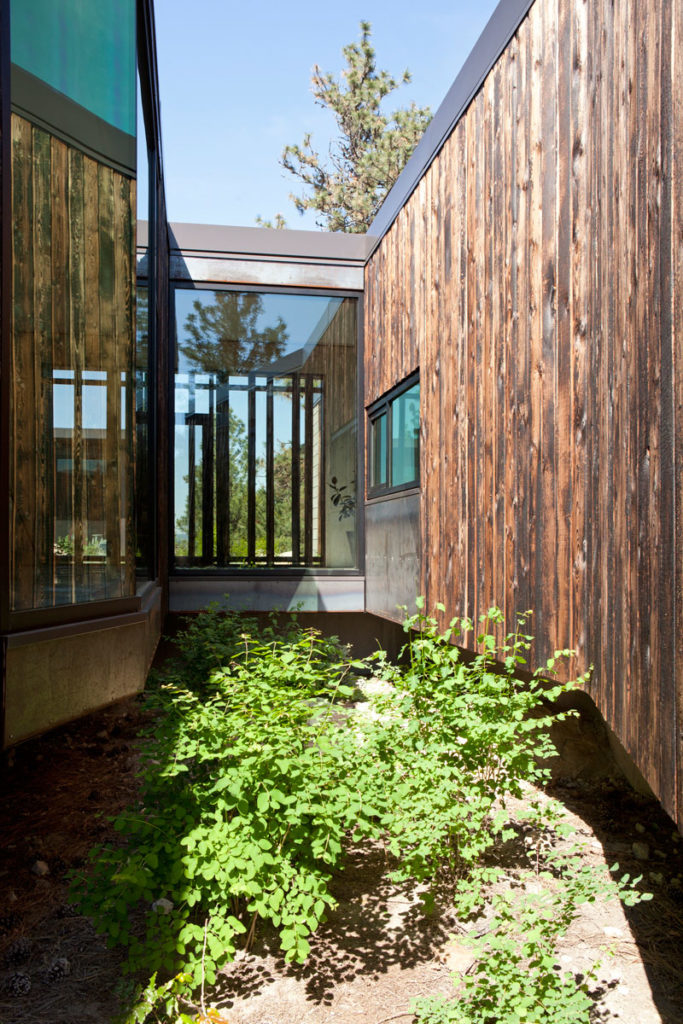 Friesen Wong House, Canada by D'Arcy Jones Architects