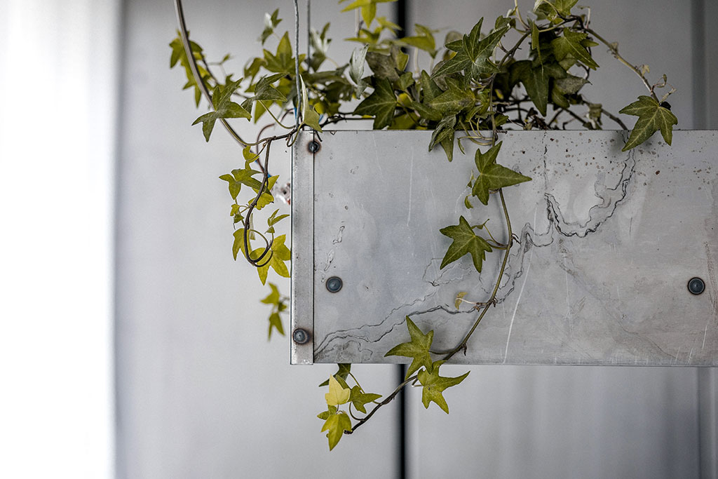 Zero-room apartment, Budapest by MÁS