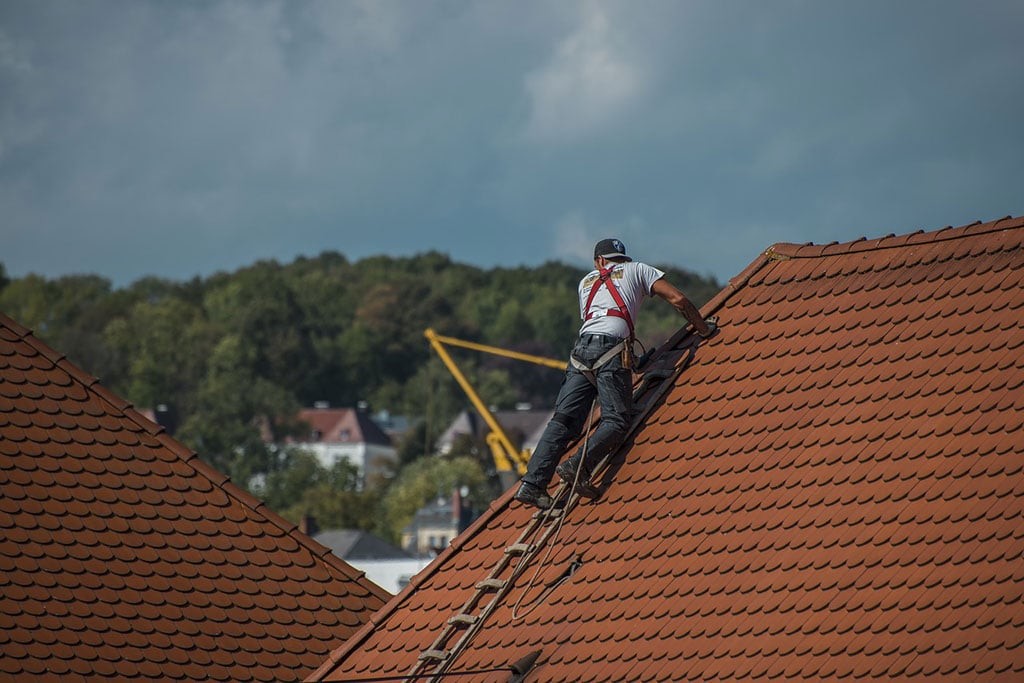 5 Roof Safety Tips for DIY Repairs and Maintenance