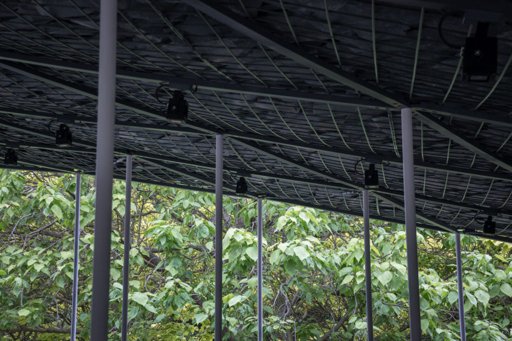 Serpentine Pavilion 2019 / junya.ishigami + associates