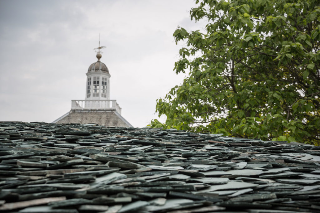 Serpentine Pavilion 2019 / junya.ishigami + associates