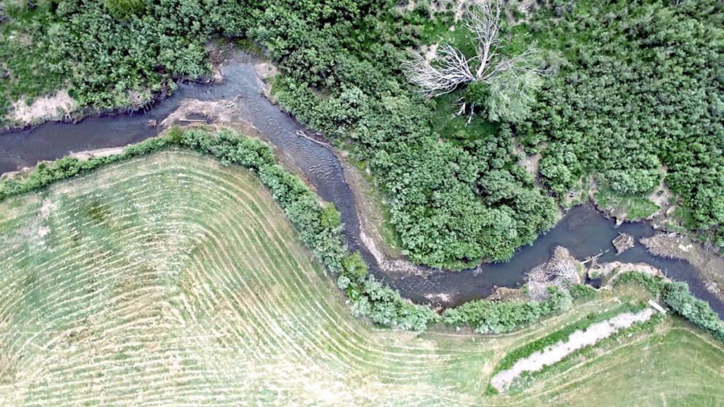 David Trew’s farm, Mora, New Mexico