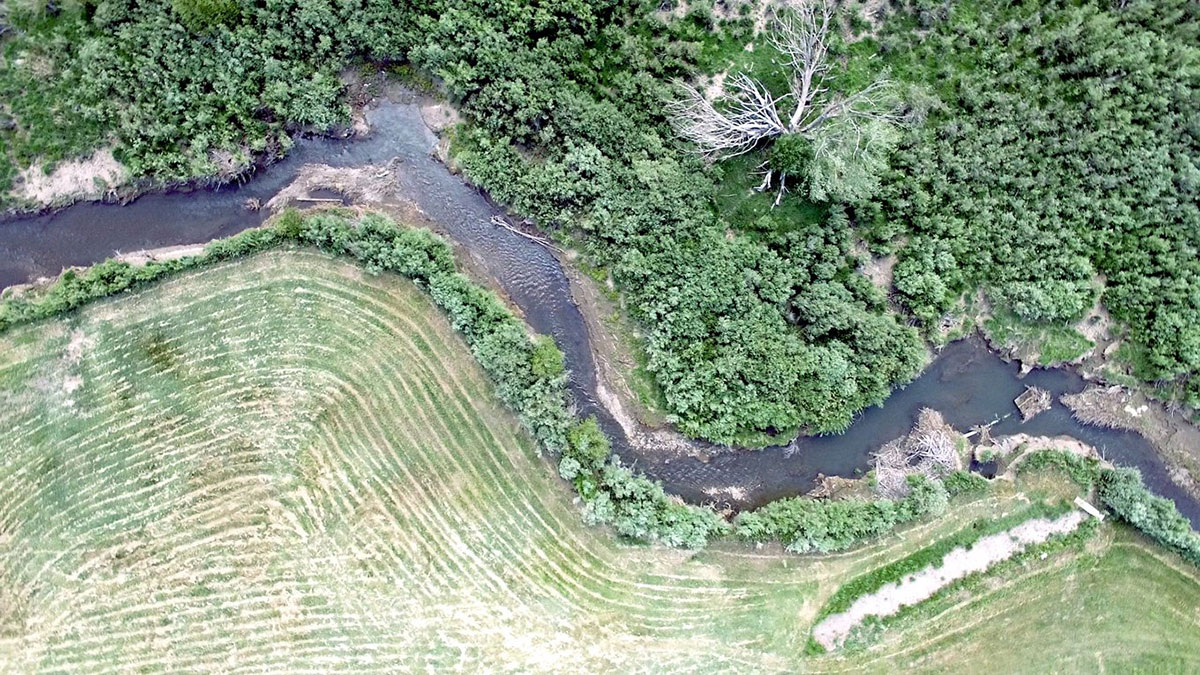 David Trew’s farm, Mora, New Mexico