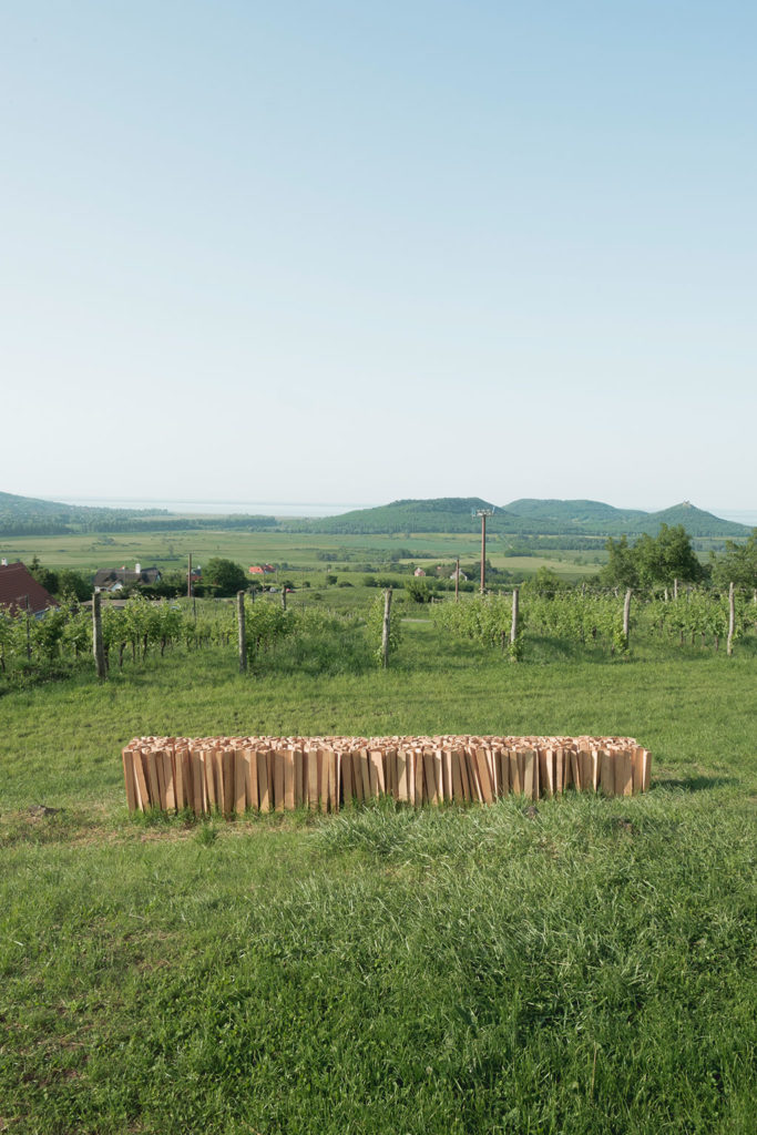 experiment 01 / építész stúdió