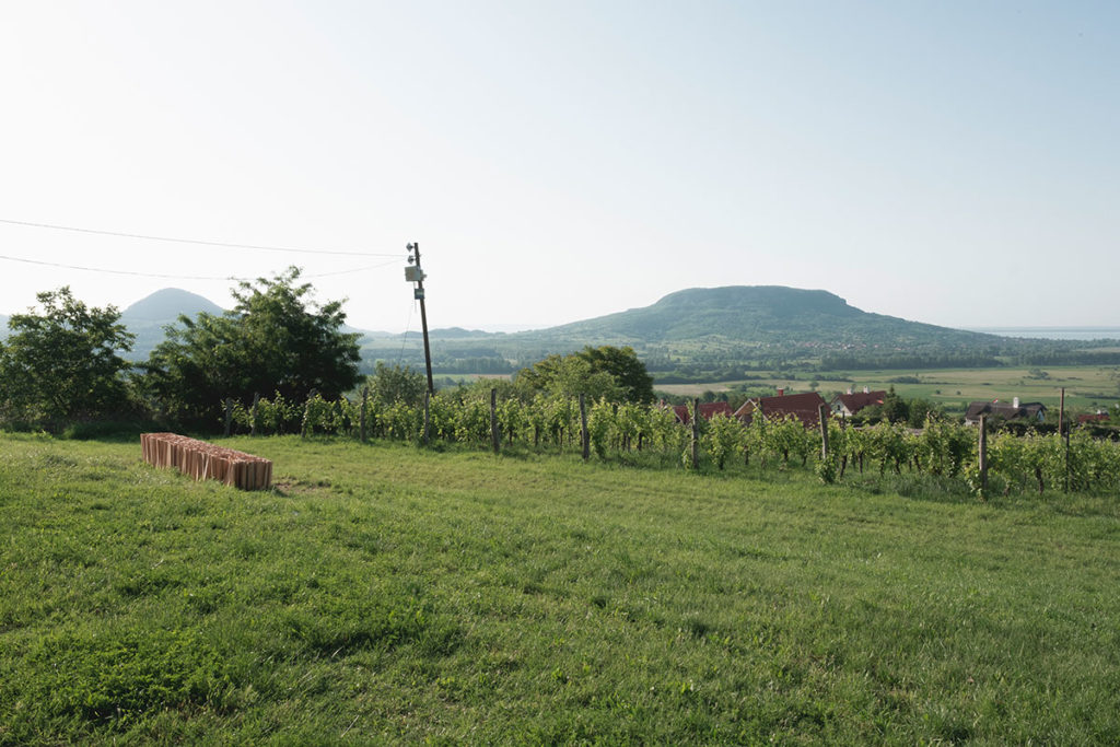 experiment 01 / építész stúdió