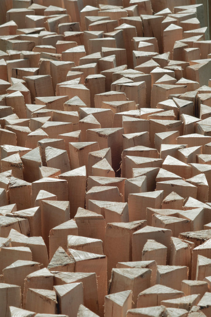 experiment 01 / építész stúdió