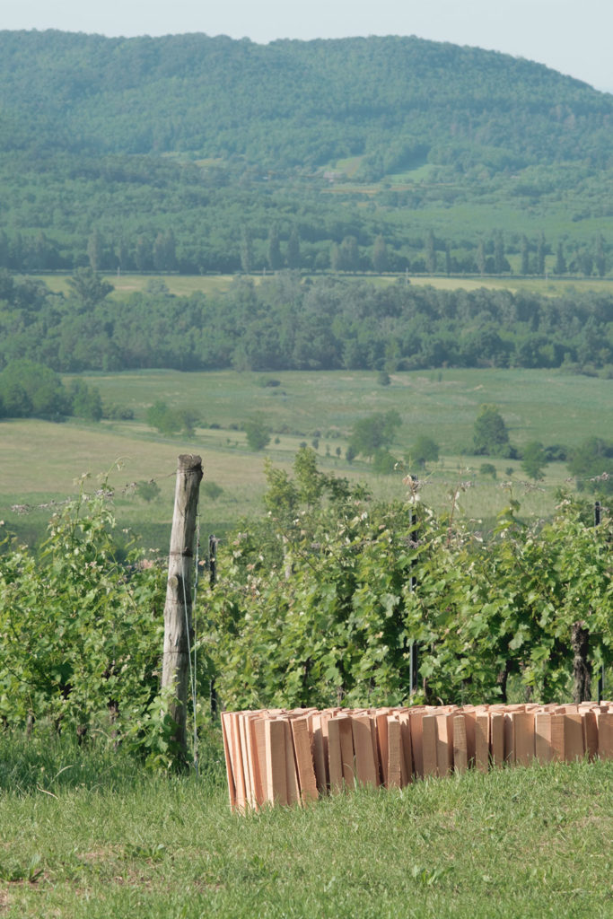 experiment 01 / építész stúdió