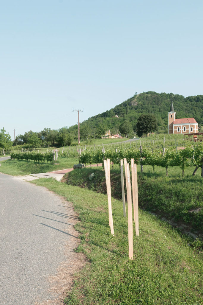 experiment 01 / építész stúdió