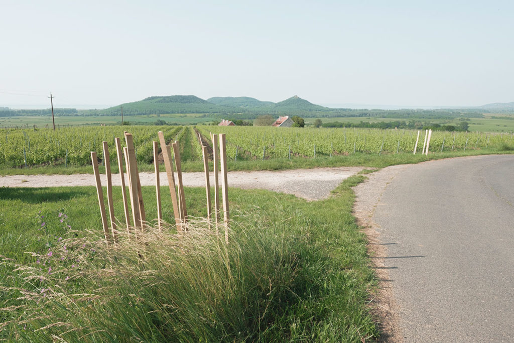 experiment 01 / építész stúdió