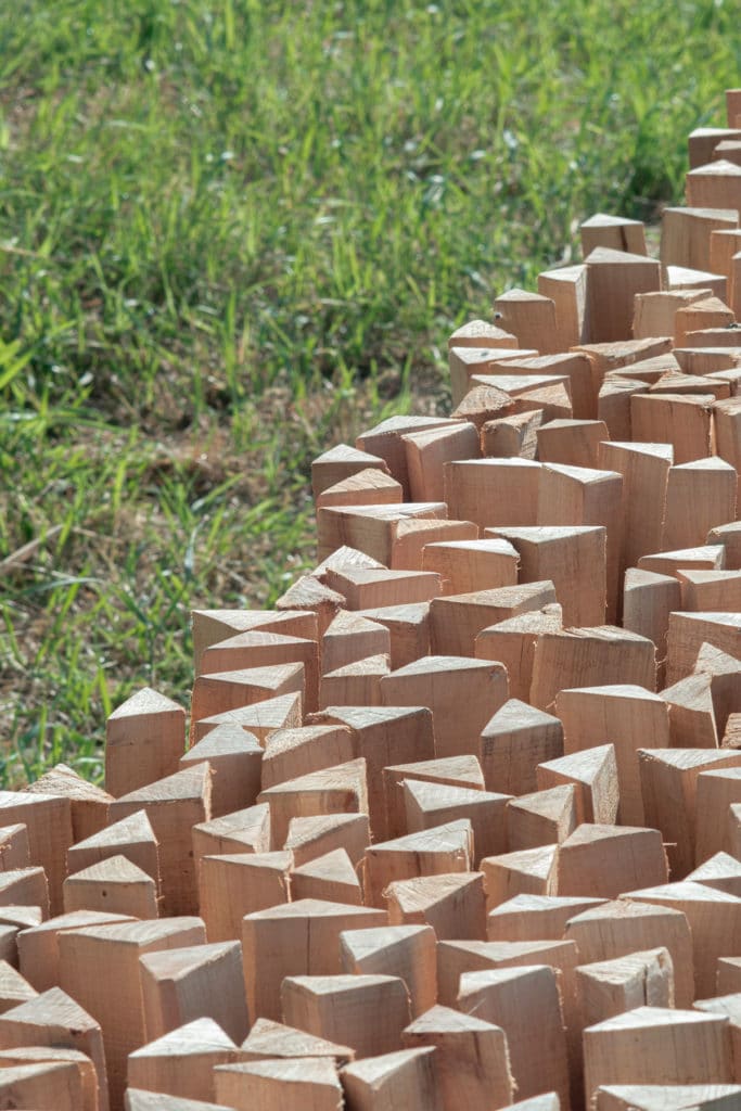 experiment 01 / építész stúdió