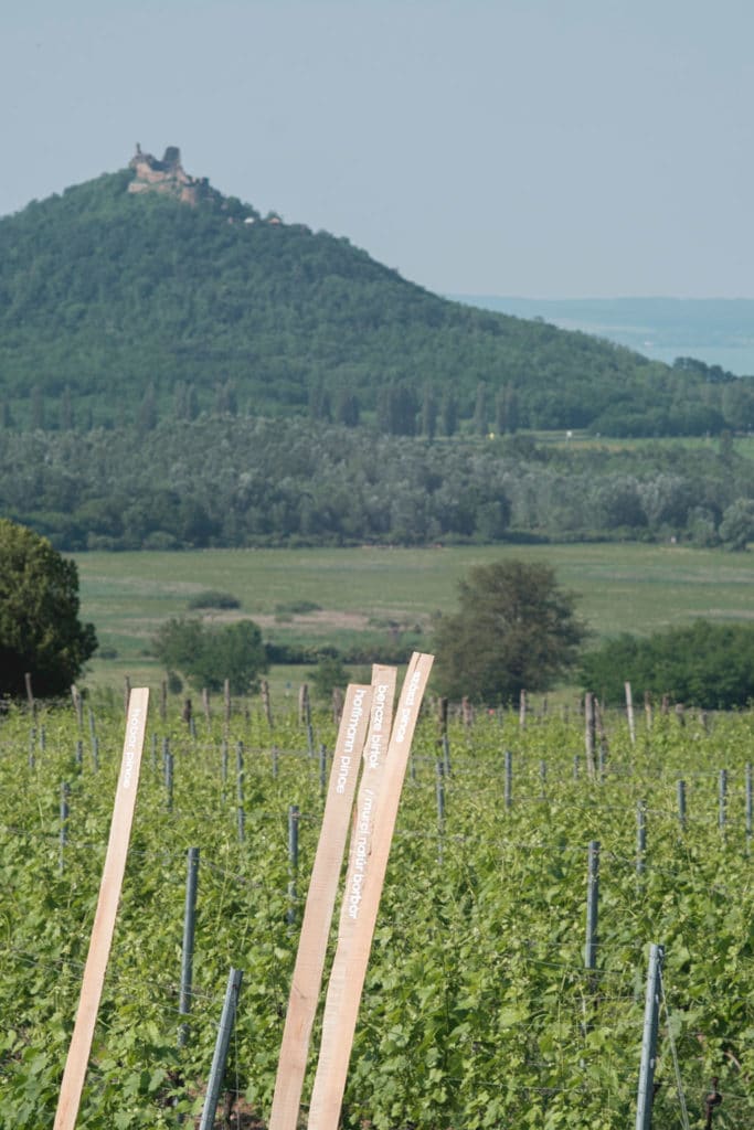 experiment 01 / építész stúdió