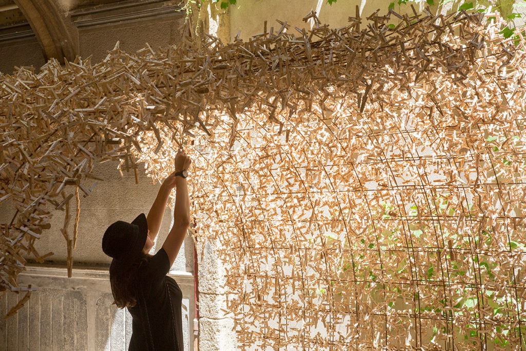 Notre nid - Maxence Grangeon - Thonon-les-bains, France