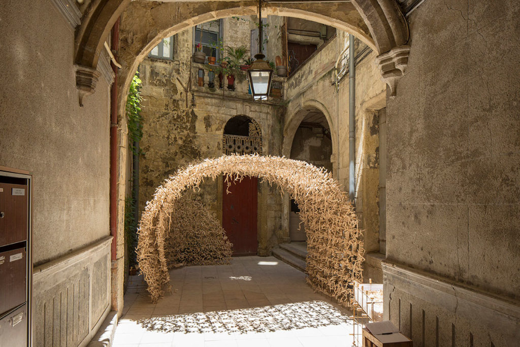 Notre nid - Maxence Grangeon - Thonon-les-bains, France