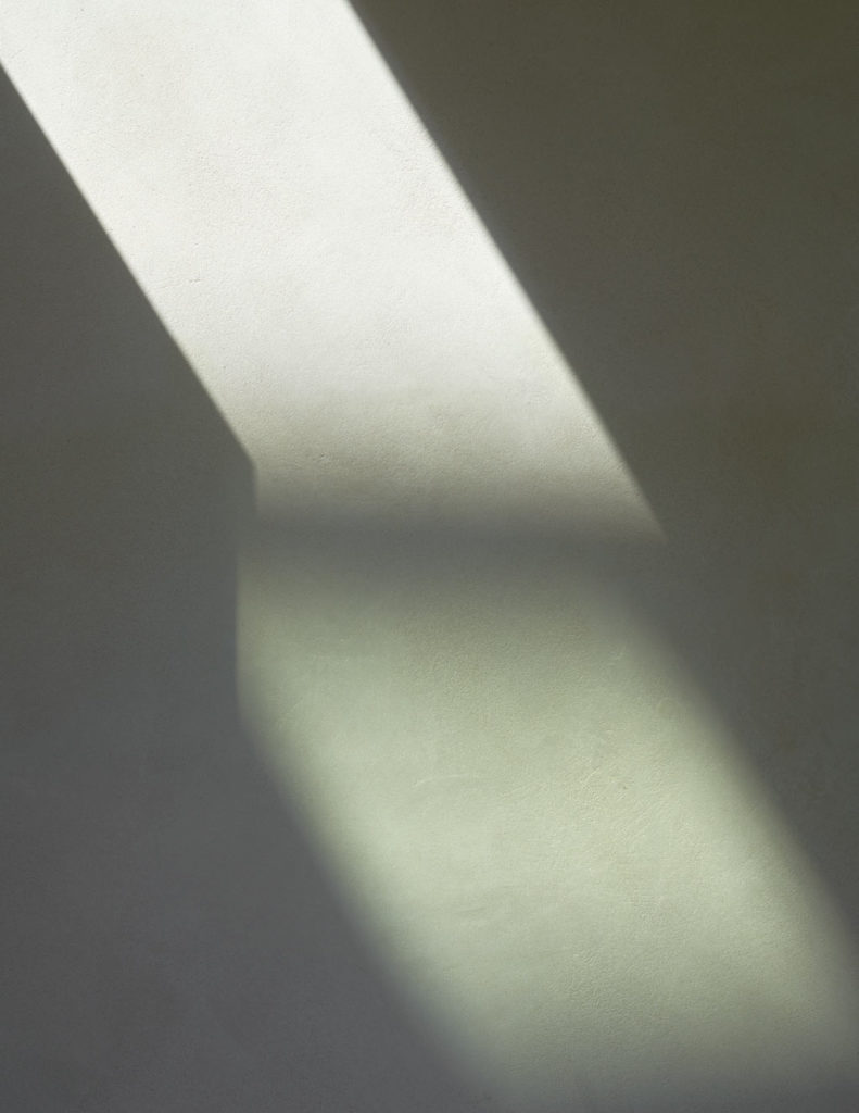 Douglas House by RISE Design Studio