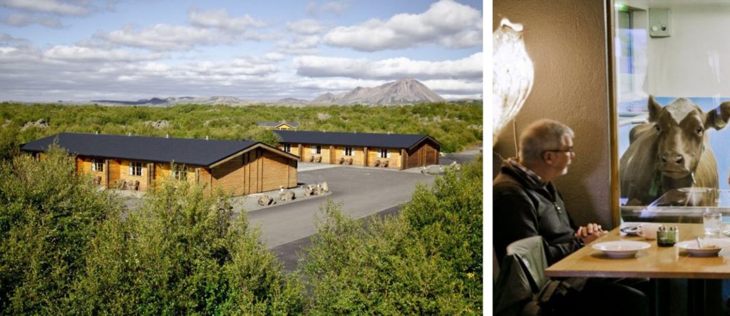 Two existing Vogafjós Farm guest houses; Resort’s attraction - restaurant and café where you can dine with the cows themselves, and even get fresh milk directly into your morning cup of coffee.