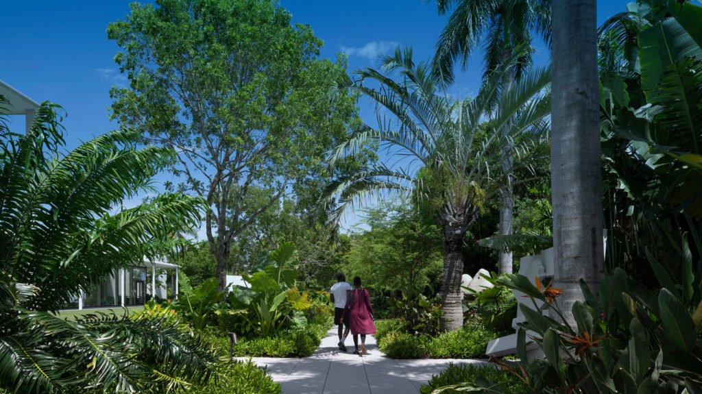 Foster + Partners launches its sustainability manifesto - COP25