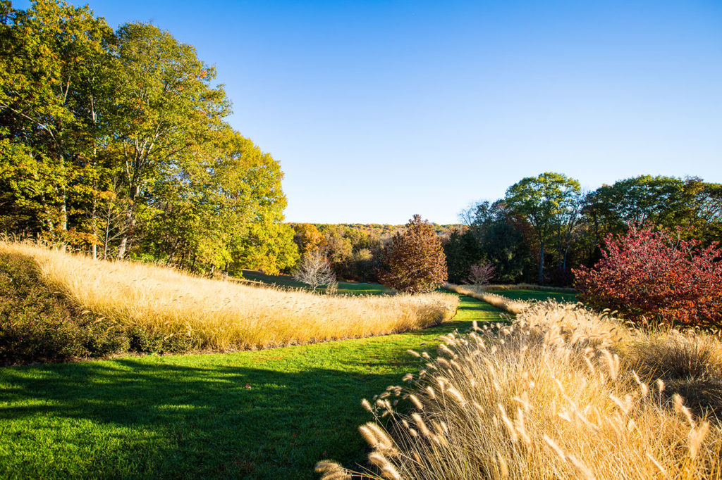 InSitu Garden by Land Morphology