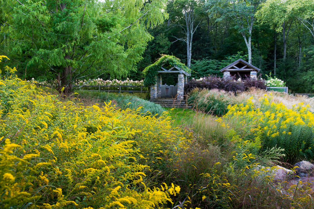 InSitu Garden by Land Morphology