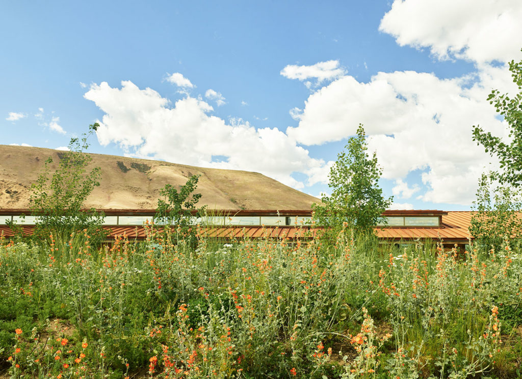 Washington Fruit & Produce Co. Headquarters by Graham Baba Architects