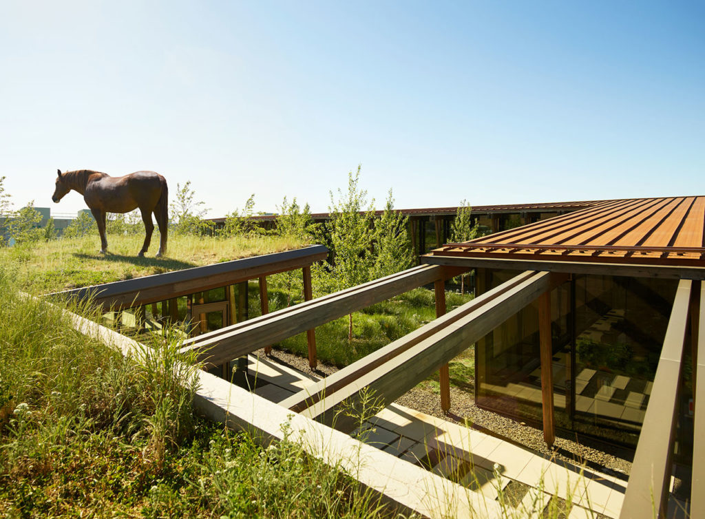 Washington Fruit & Produce Co. Headquarters by Graham Baba Architects