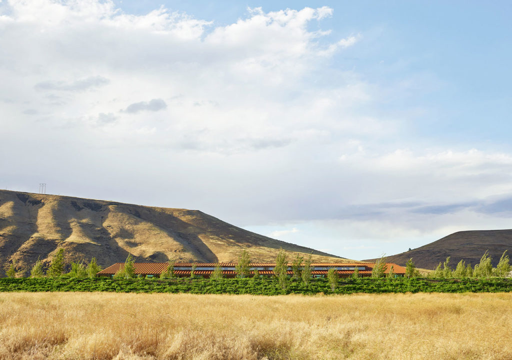 Washington Fruit & Produce Co. Headquarters by Graham Baba Architects