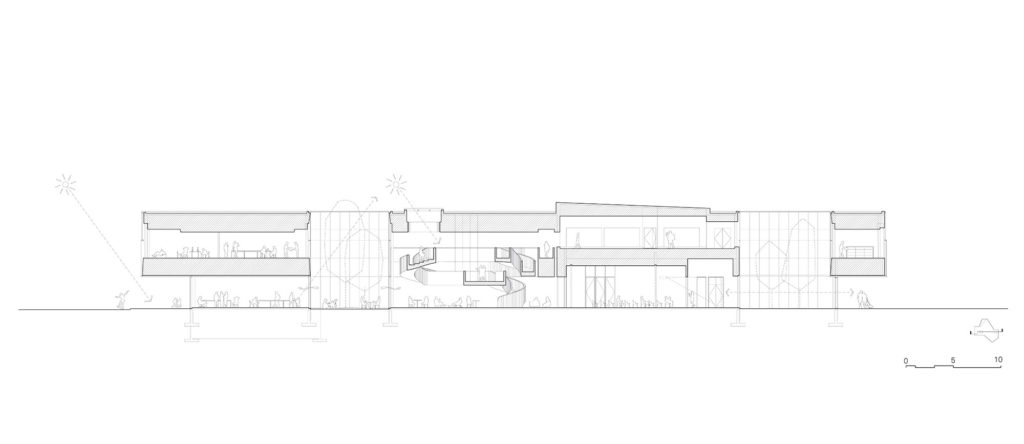 Section through the garden